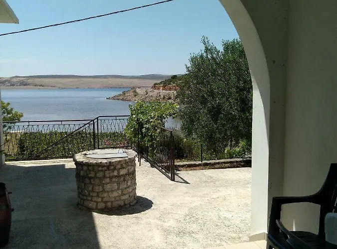 Larus *