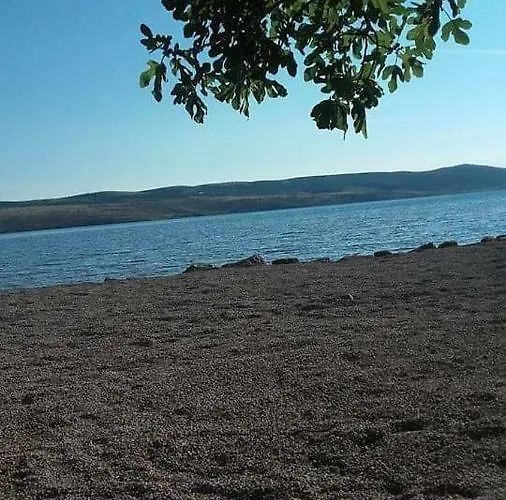 Larus * Starigrad Paklenica